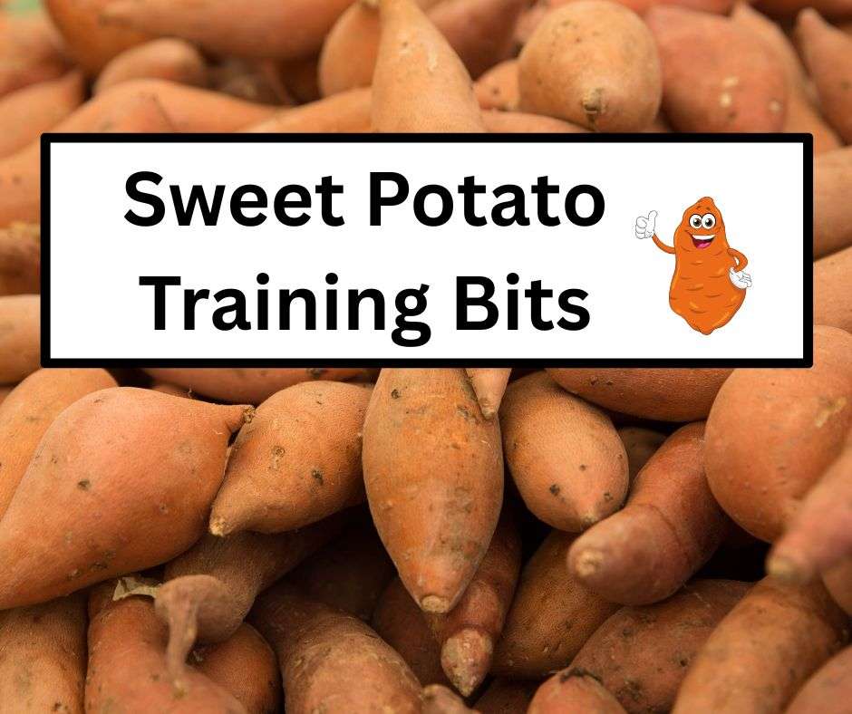 sweet potato training bits