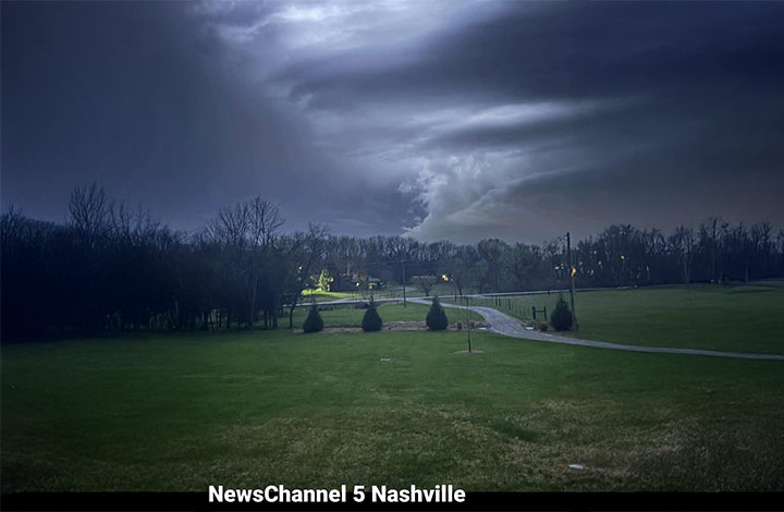 storm anxiety and dogs