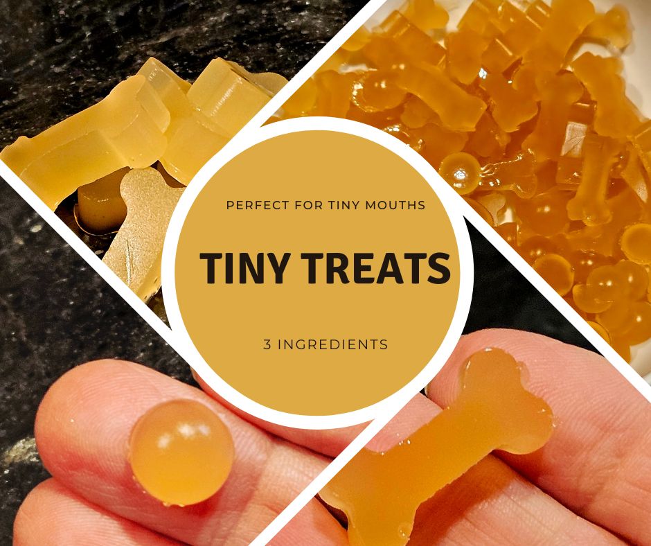 small round and bone shaped gelatin dog treats