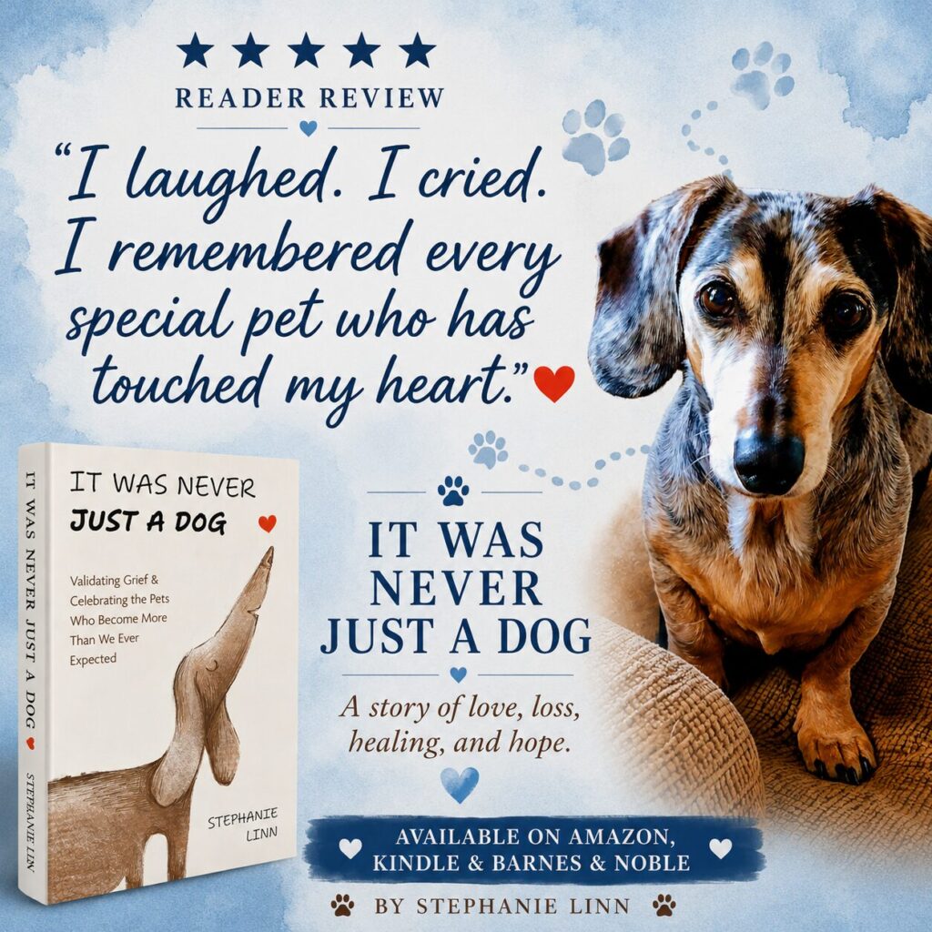 It Was Never Just A Dog book cover with dachshund